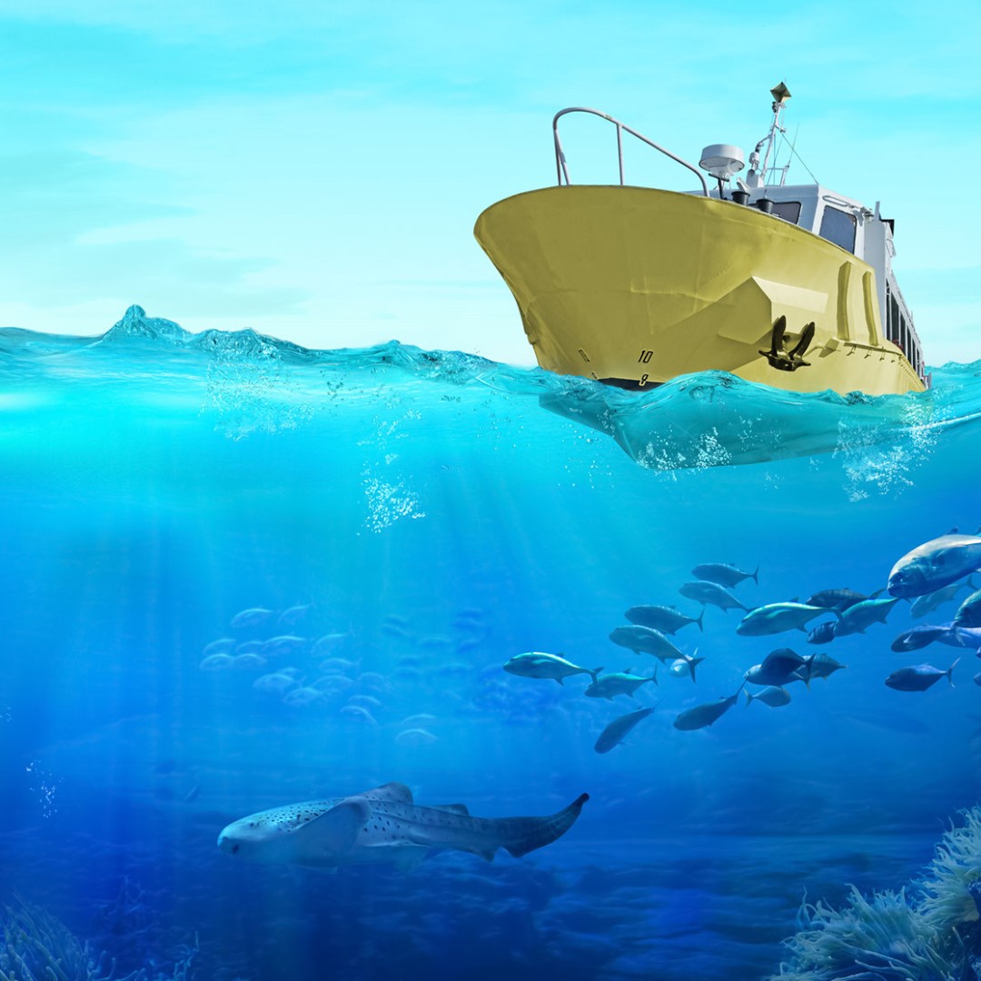 A Boater’s Guide to Responsible and Sustainable Practices