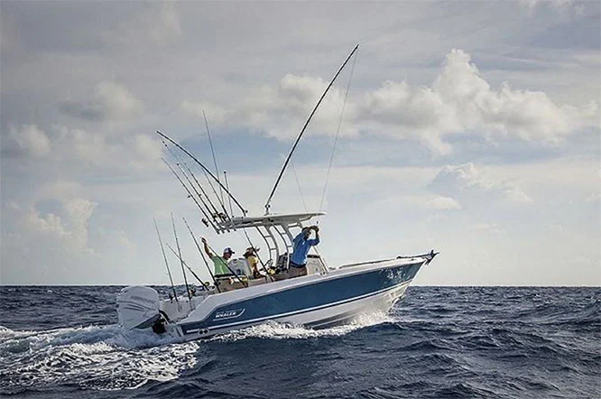 Deep Dive into...Boston Whaler