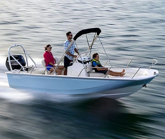 Deep Dive into...Boston Whaler