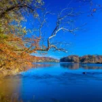 Top Places to See Fall by Boat